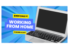 Unlock $900 Daily: Just 2 Hours & WiFi Needed!