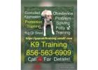 Dog 856-563-6900 Puppy Control NJ