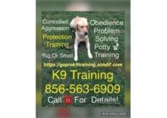 Nj Obedience 856-563-6909